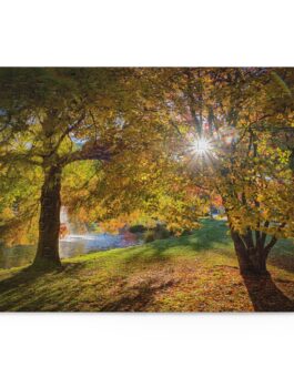 Golden Sunrise in Kawarau Falls Scenic Reserve – Puzzle (120, 252, 500-Piece)