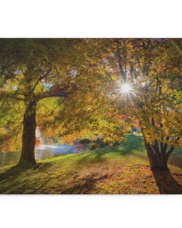 Golden Sunrise in Kawarau Falls Scenic Reserve – Puzzle (120, 252, 500-Piece)