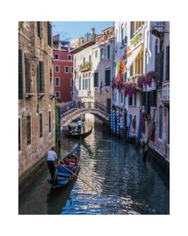 Sailing down the Venice Canal – Premium Matte Vertical Posters